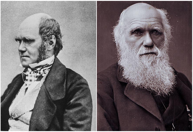 Great Beards Throughout History: Charles Darwin